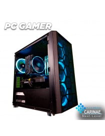 PC GAMER NEXT LEVEL CARINAE Ryzen 5 5600 RAM 16GB DDR4 SSD 1TB M.2 PNY RTX 3060 12GB 600W
